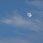 LUNE du 02/06/2020