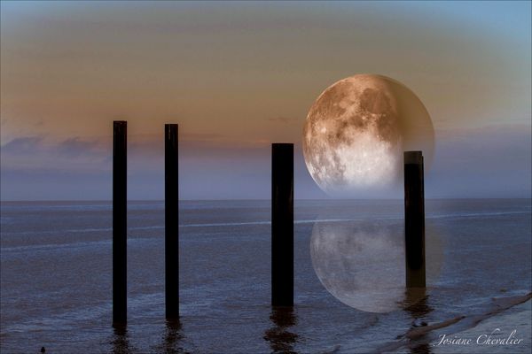 lune  du 14 Novembre 2016