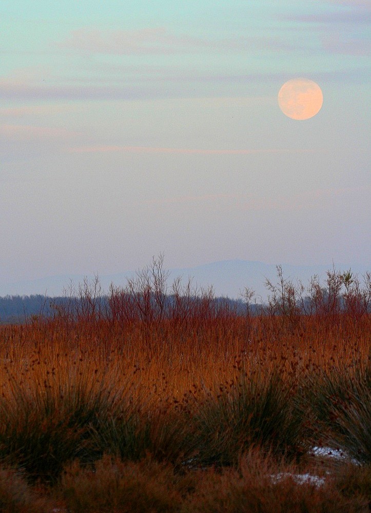 Lune plaine, pleine lune...