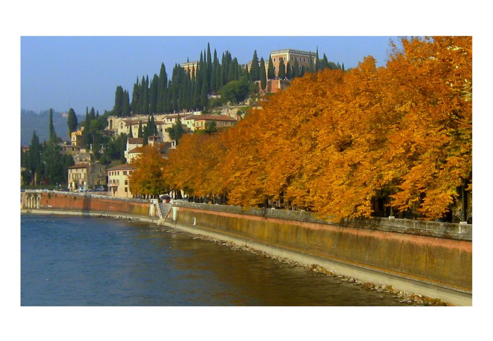 Lungadige Teodorico in veste autunnale....