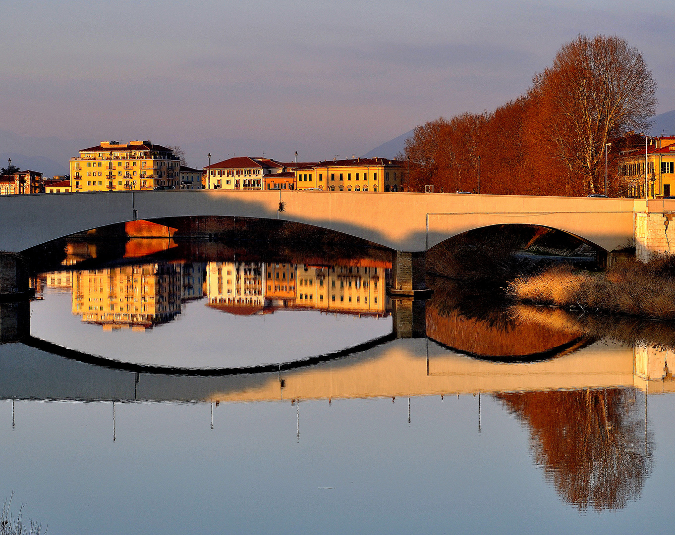 Lungarno Pisano...