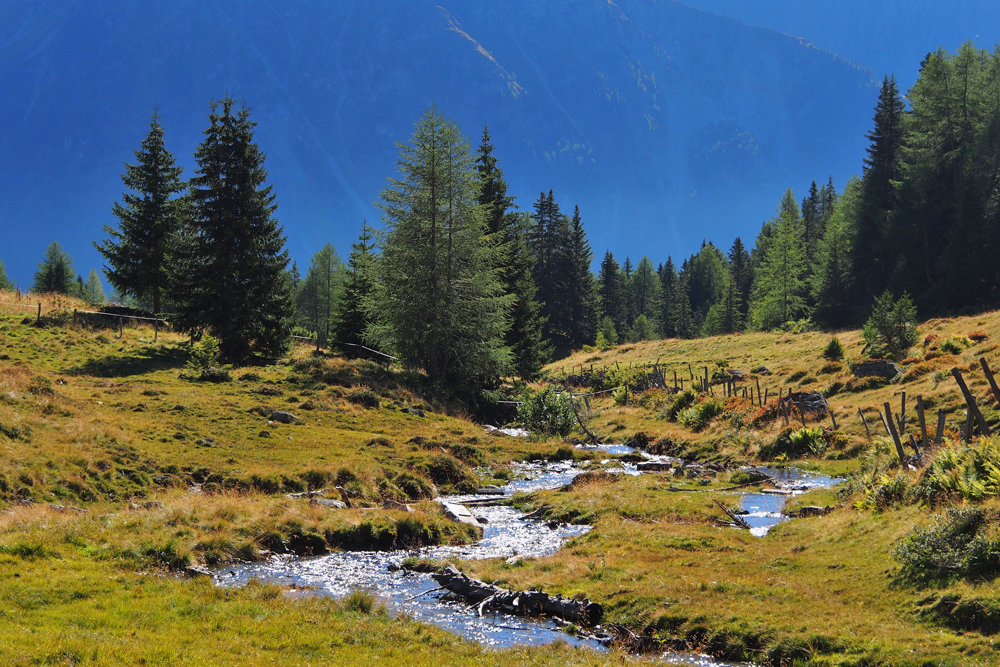 Lungauer Almherbst