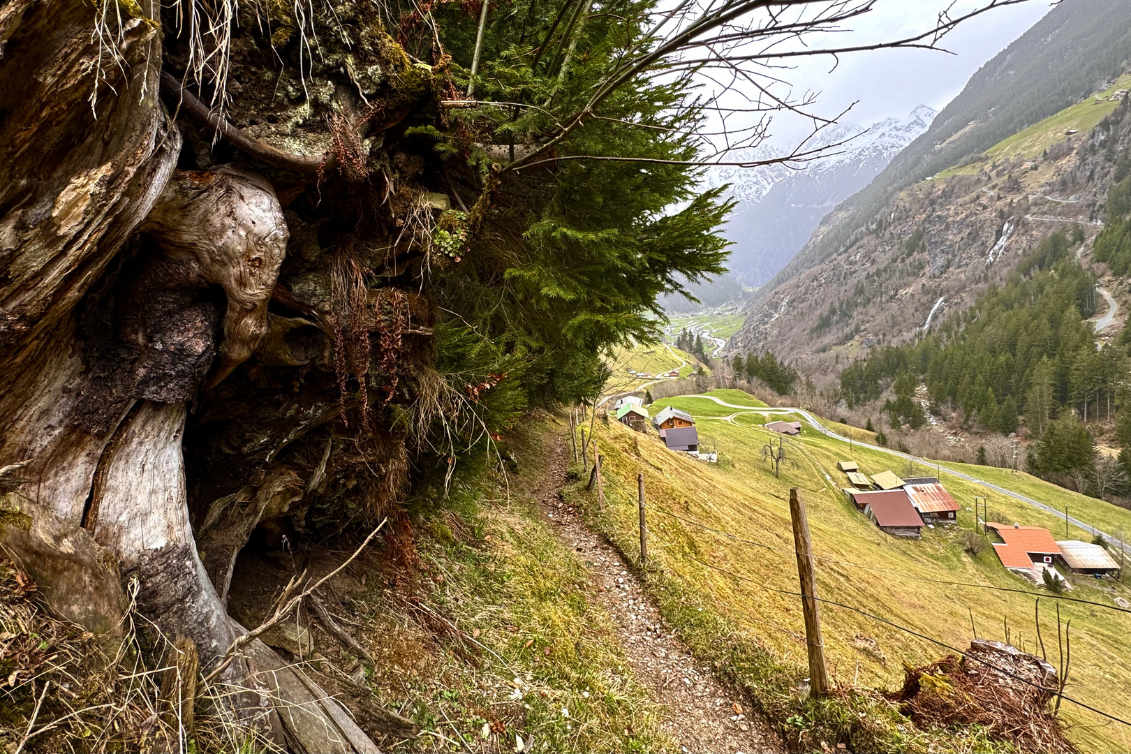 Lungenberg,Maderanertal