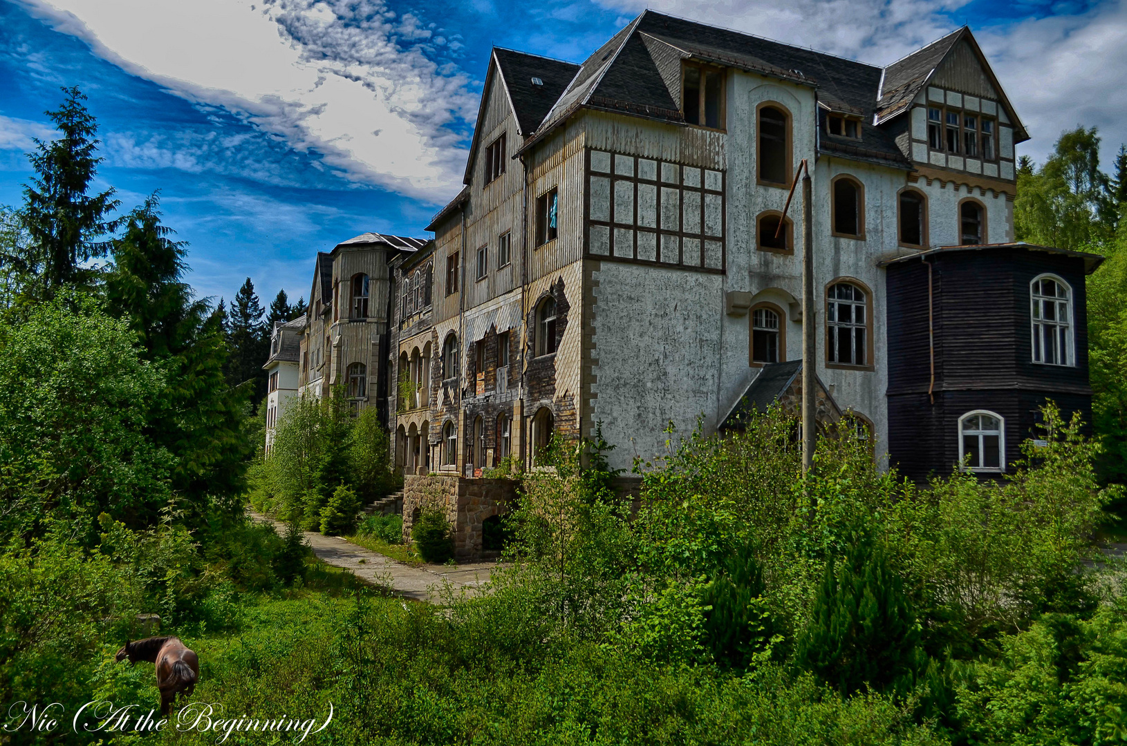 Lungenheilanstalt Harz