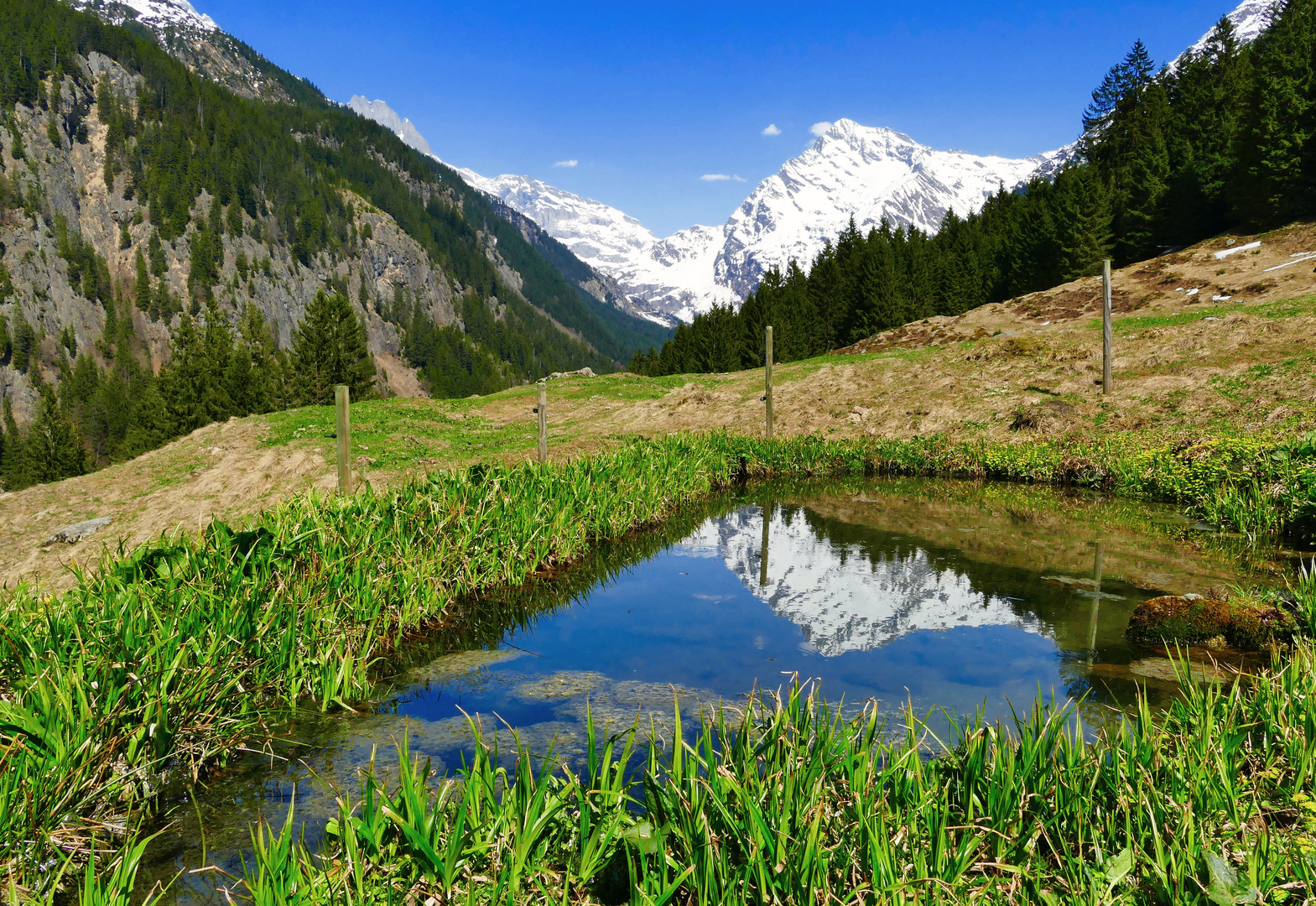 Lungenstutz , Maderanertal