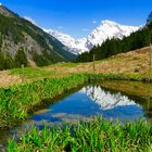 Lungenstutz , Maderanertal