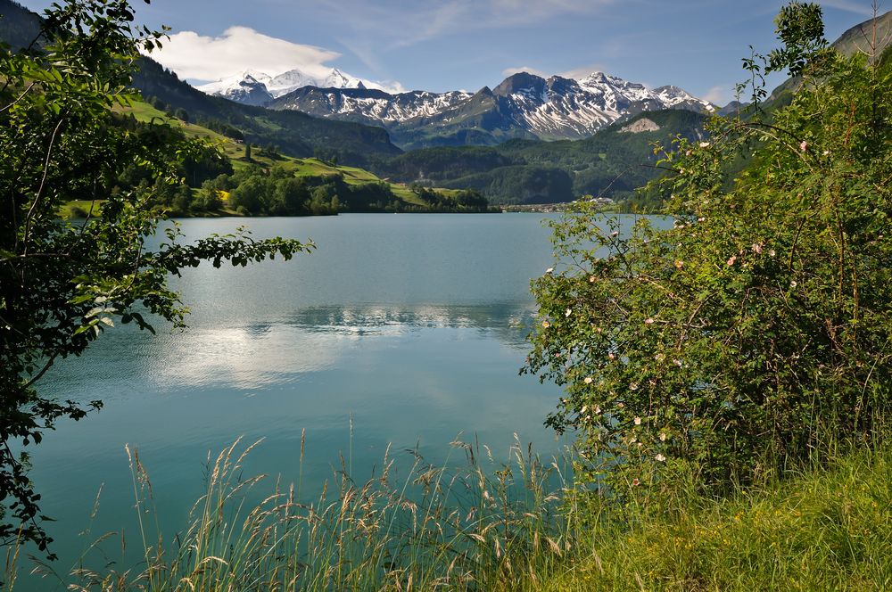 Lungerersee