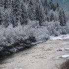 lungo il piave d'inverno..