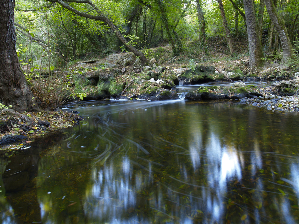 Lungo la Brague in Provenza.