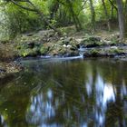 Lungo la Brague in Provenza.