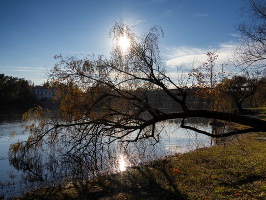 Lungo la riva del Ticino