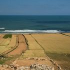 Lungo la strada, Campi in riva al mare - On the road, fields by the sea