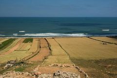 Lungo la strada, Campi in riva al mare - On the road, fields by the sea