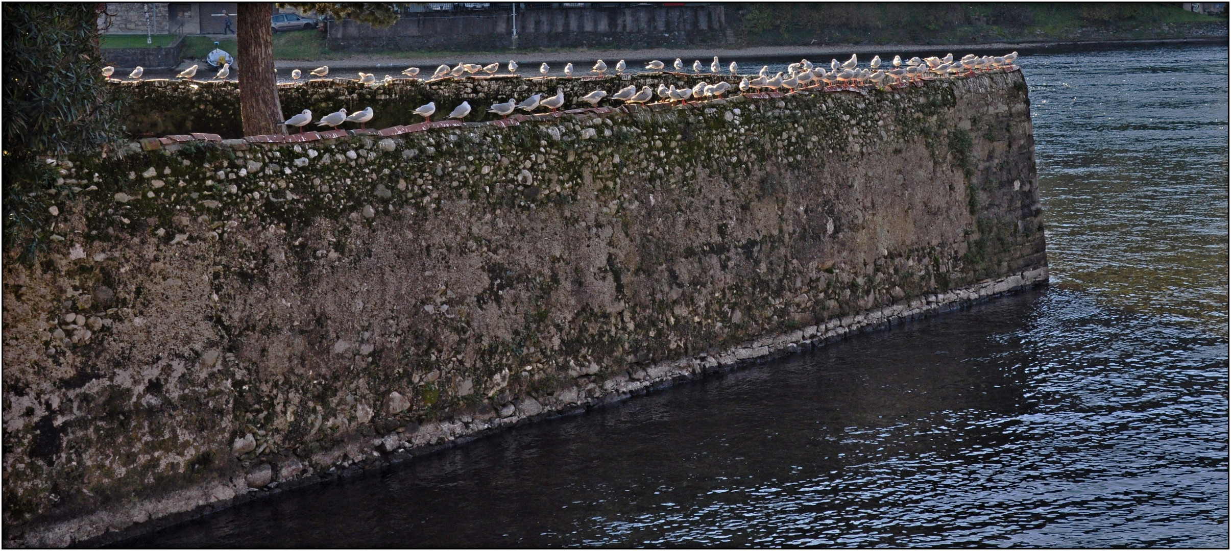 Lungo l'Adda, Pescarenico Lecco.