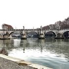 lungo l'argine del tevere