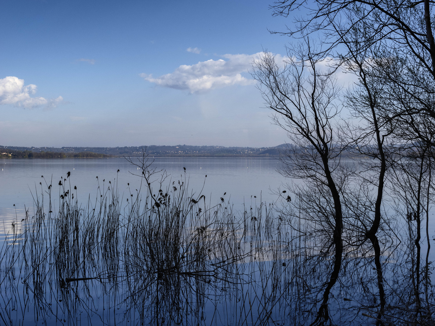 Lungolago di Biandronno