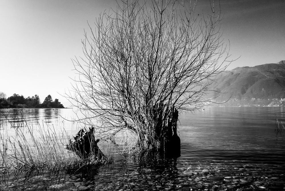 Lungolago di Germignaga