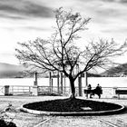 Lungolago di Laveno