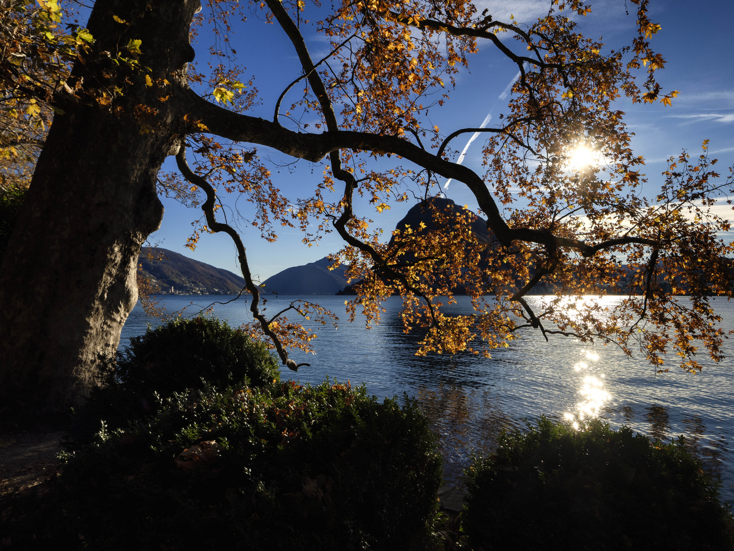 Lungolago di Lugano