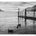 Lungolago di Maccagno, lago Maggioe