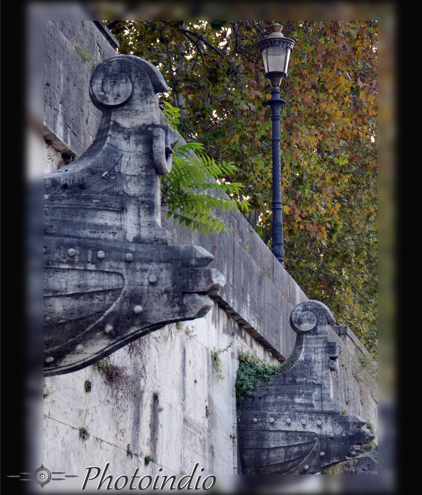 lungotevere d'autunno