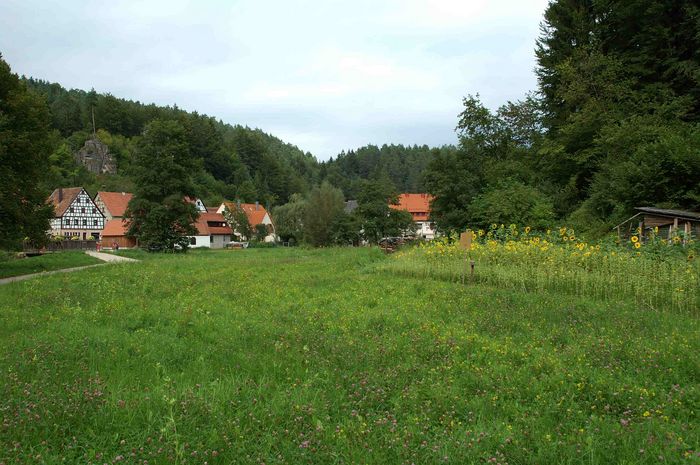 Lungsdorf an der Pegnitz (D70 mit Nikon-Kit DX Objektiv)