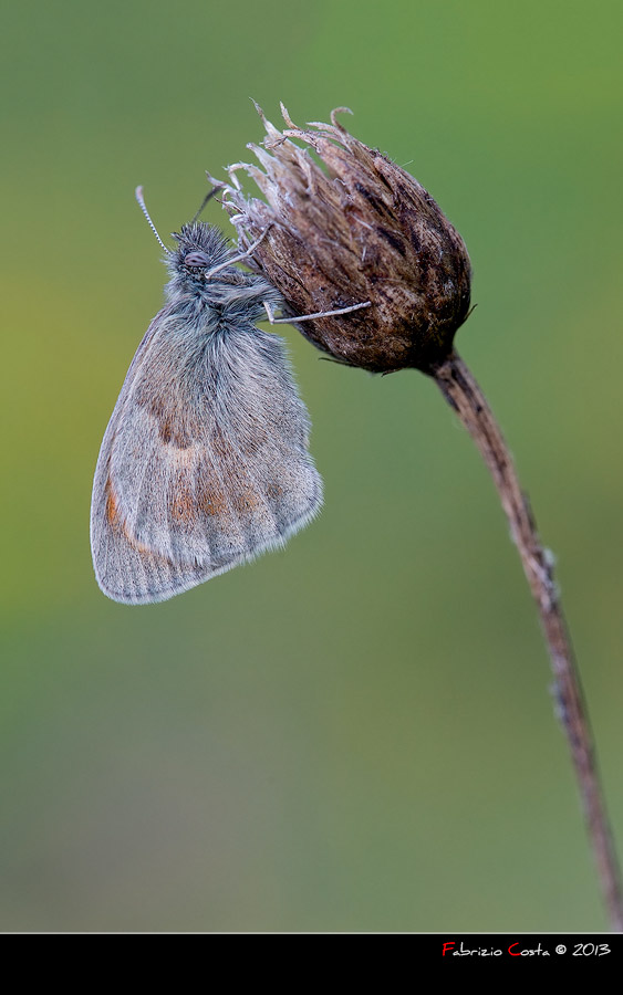 L'unica macro di ieri