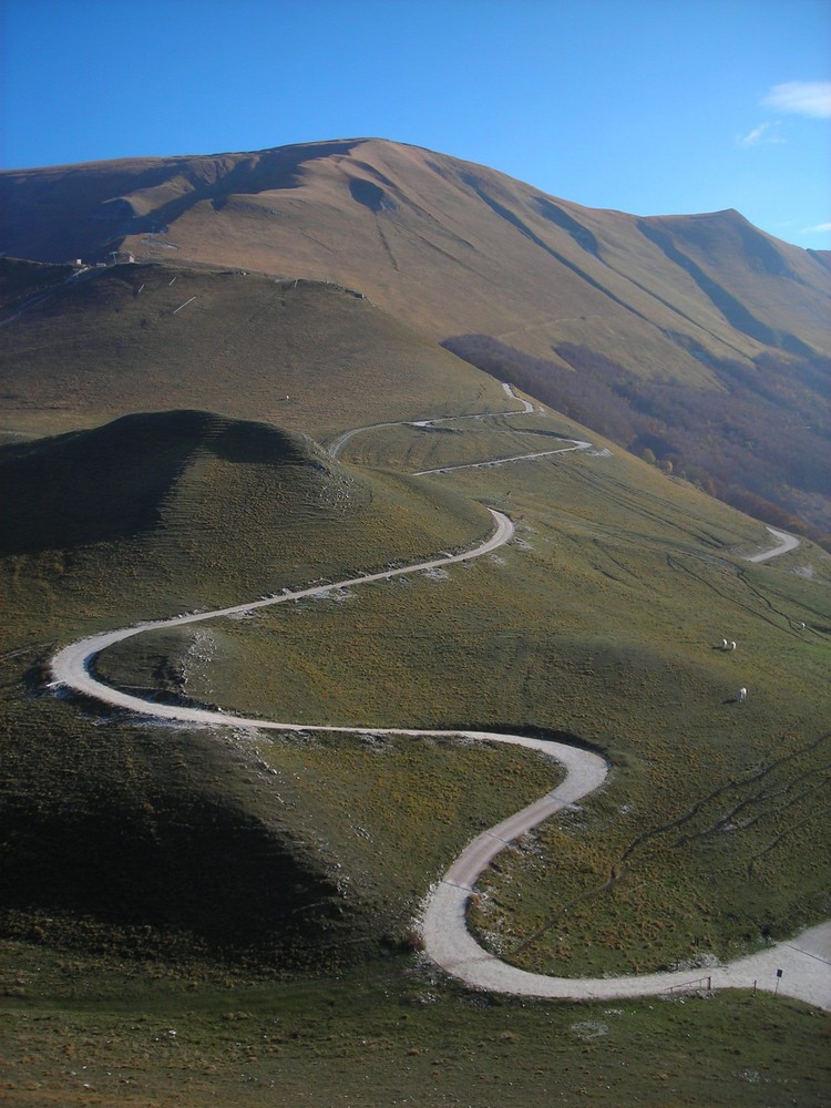 l'unico modo per sapere dove ti porterà una strada.. è percorrerla...