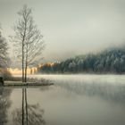 Lunzer See an einem Wintermorgen