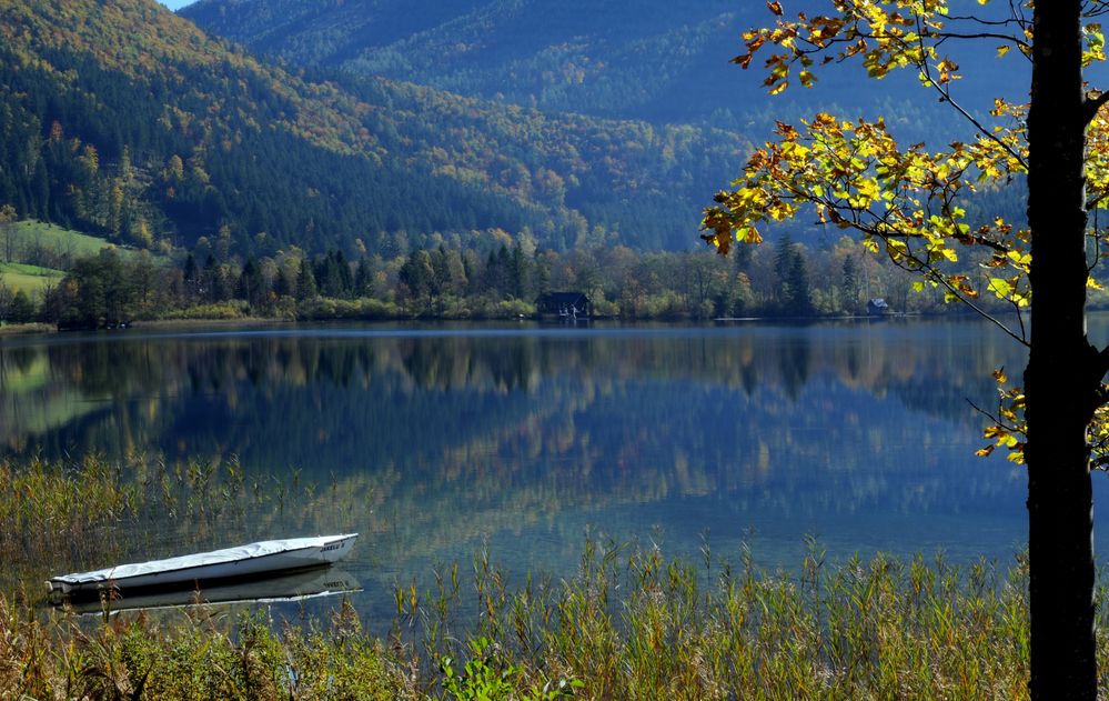 Lunzer See (Niederösterreich) Foto & Bild landschaft, bach, fluss