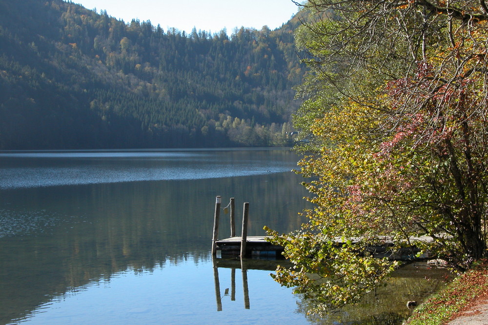 Lunzer See NÖ im Herbst