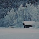 Lunzersee