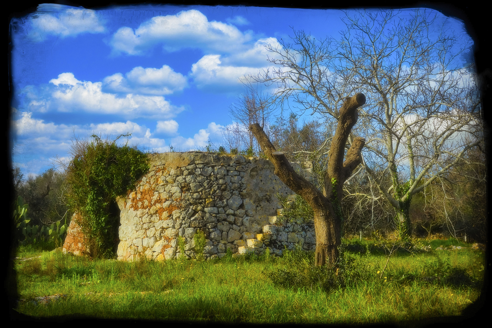 Luoghi d'infanzia