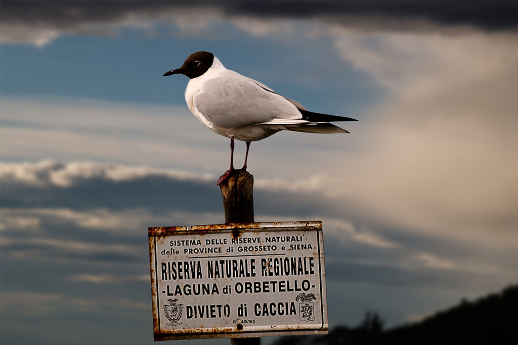 Luoghi Sicuri