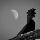 l'uomo che proteggeva la luna