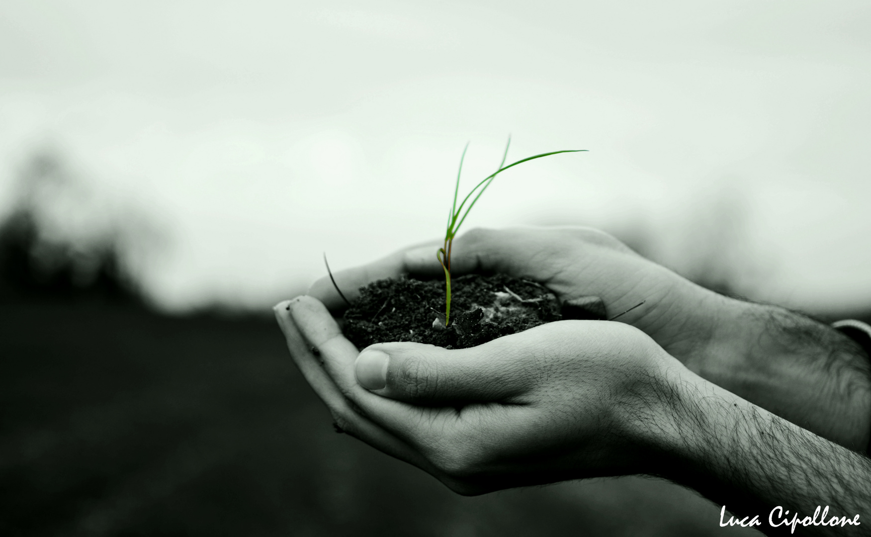 L'uomo è il cancro della terra.