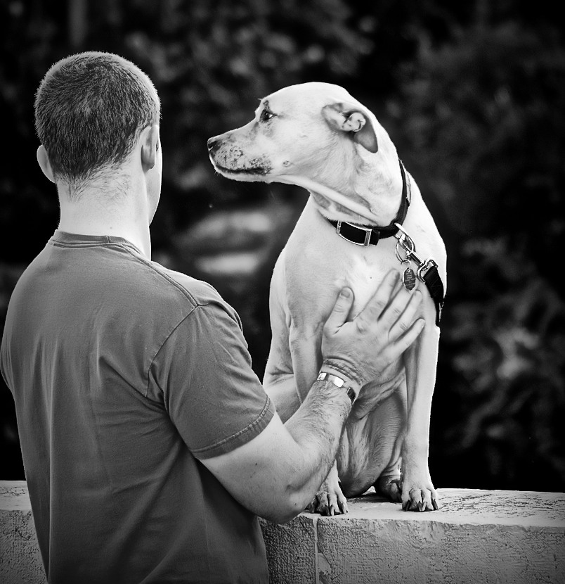 L'uomo e il cane Foto Immagini persone, street Foto su L'uomo e il cane Foto Immagini persone, street Foto su