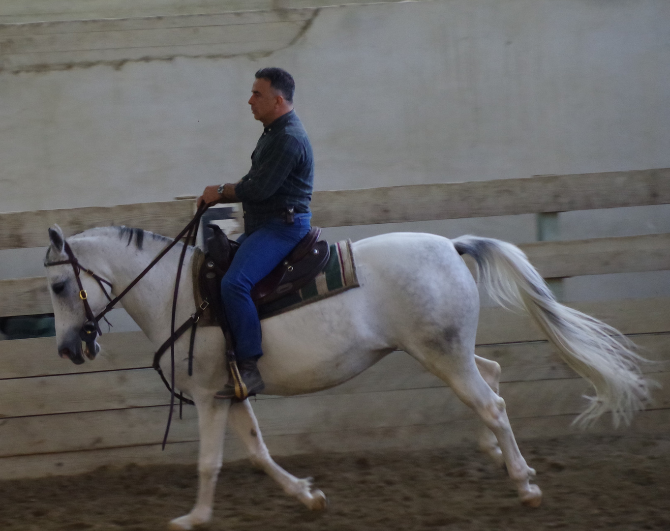 L'UOMO E IL CAVALLO  INSIEME  IN  SIMBIOSI