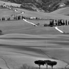 L'uomo e la campagna toscana