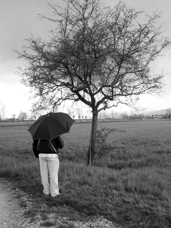 L'uomo e l'albero