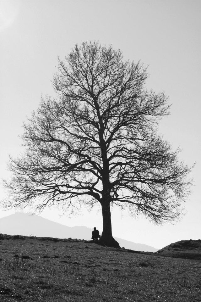 l'uomo e l'albero