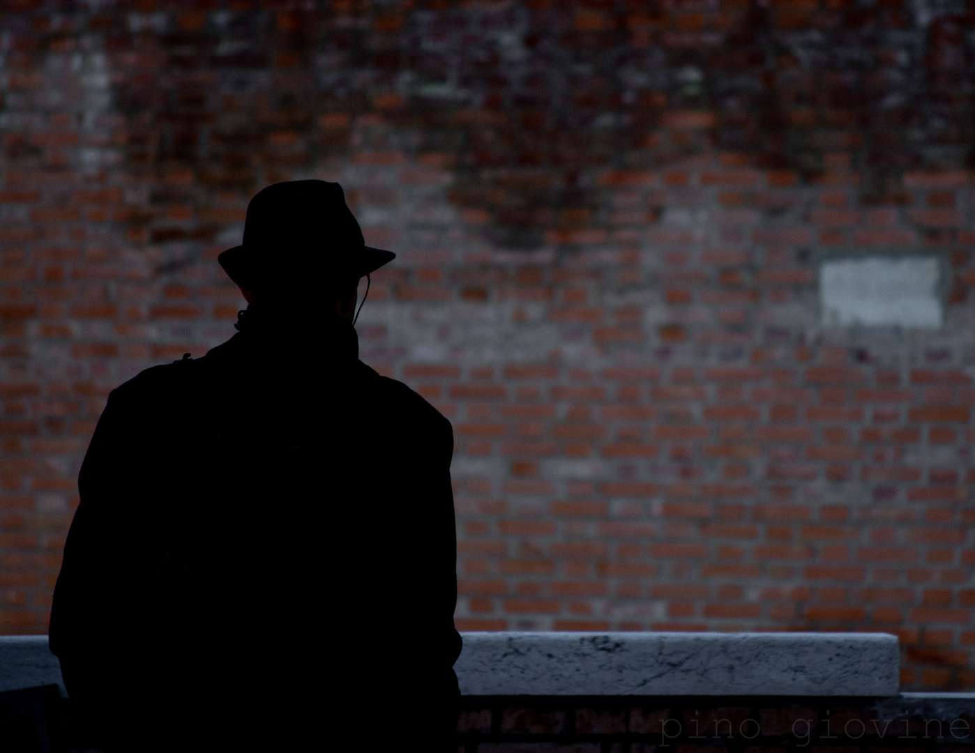 L'uomo nell'ombra. (2010 R.Polansky) Foto Immagini persone Foto su