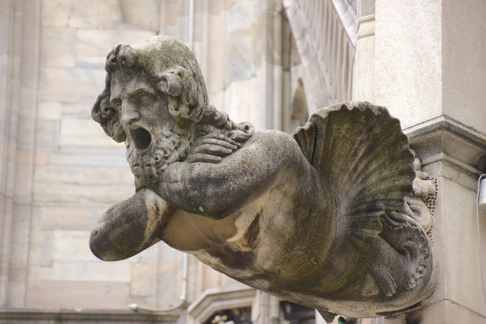 l'uomo pesce (avvistato sul Duomo di Milano)