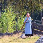 LUR - DAS NORWEGISCHE ALPHORN