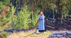 LUR - DAS NORWEGISCHE ALPHORN