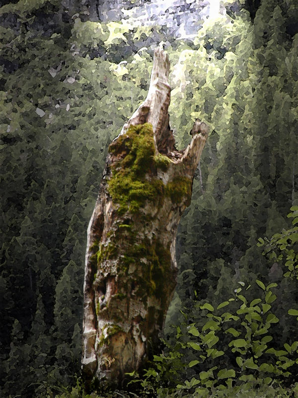 L'urlo della natura