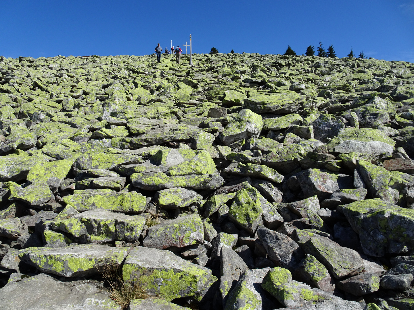 Lusen (1373 m), Bayerischer Wald