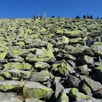 Lusen (1373 m), Bayerischer Wald