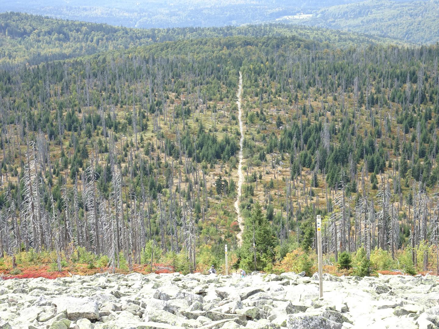 Lusen (1373 m) Himmelsleiter, Bayerischer Wald