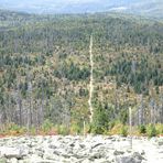 Lusen (1373 m) Himmelsleiter, Bayerischer Wald